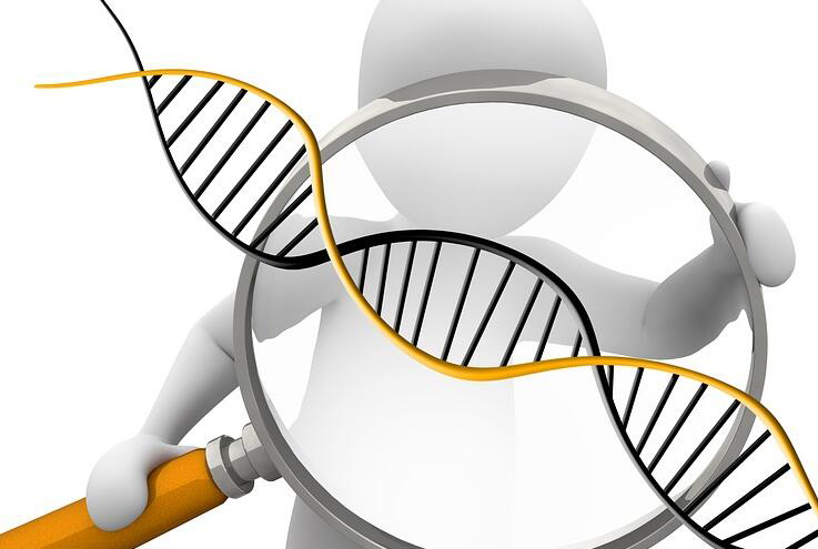 宿迁匿名DNA亲子鉴定怎么做,宿迁隐个人亲子鉴定需要什么手续有哪些规定